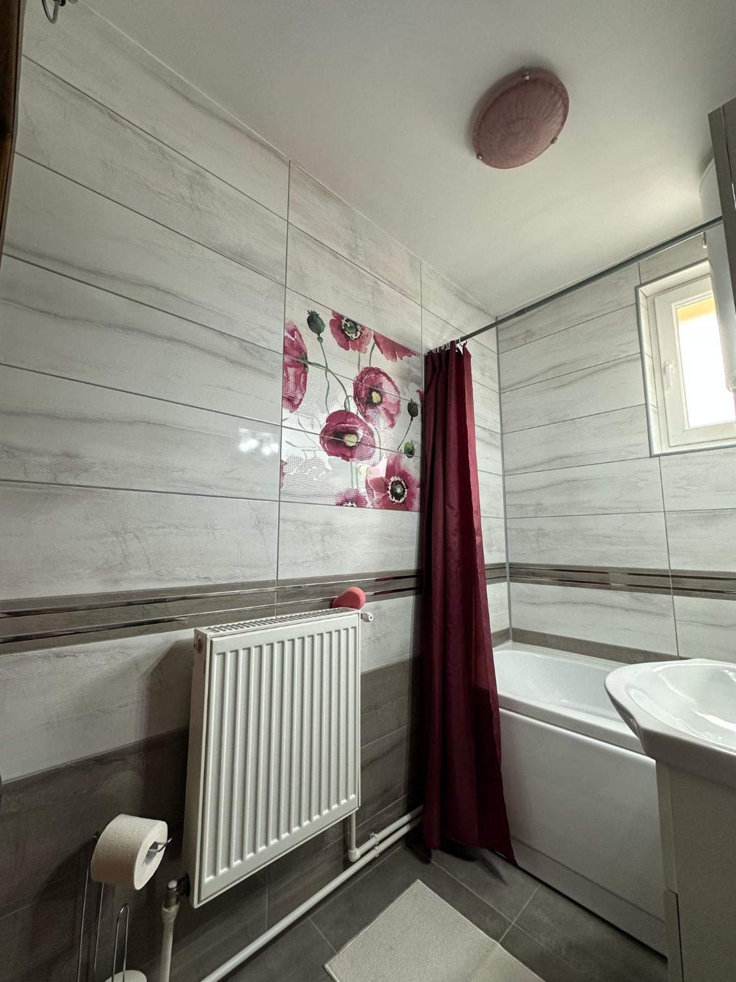 בורסק Apartament De Inchiriat מראה חיצוני תמונה